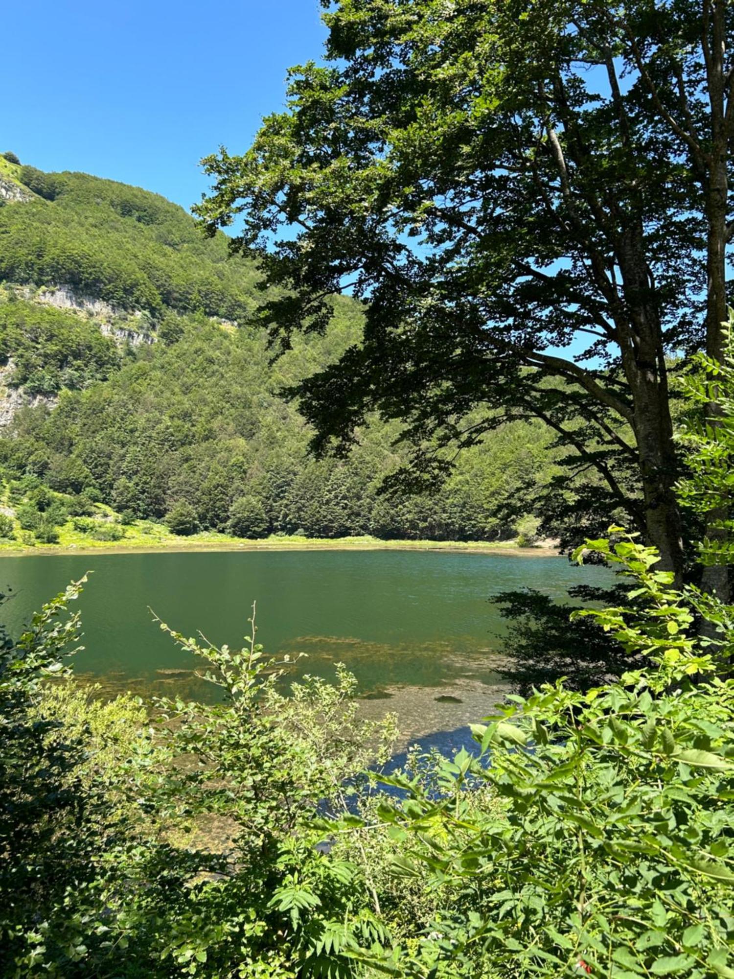 Da Cinzia Appartement Pievepelago Buitenkant foto